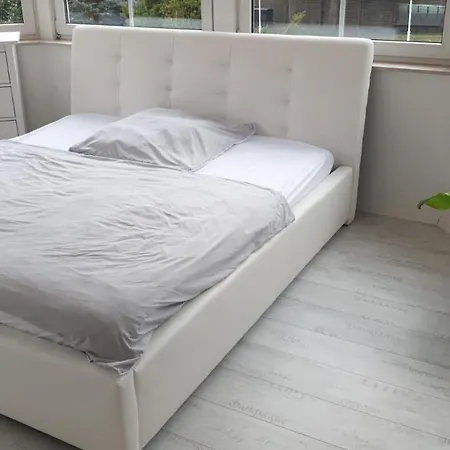 Apartment Grosse & Voll Ausgestattete Apartments, Studios, Doppelzimmer, Workspace, Parkplatz, Netflix, Prime & Schnelles Wifi In Ruhiger Lage Mit Garten Rudolstadt