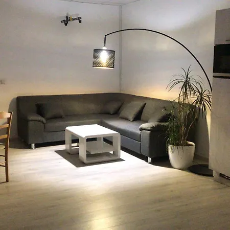 Grosse & Voll Ausgestattete Apartments, Studios, Doppelzimmer, Workspace, Parkplatz, Netflix, Prime & Schnelles Wifi In Ruhiger Lage Mit Garten * Rudolstadt