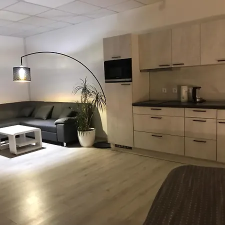 Apartment Grosse & Voll Ausgestattete Apartments, Studios, Doppelzimmer, Workspace, Parkplatz, Netflix, Prime & Schnelles Wifi In Ruhiger Lage Mit Garten *