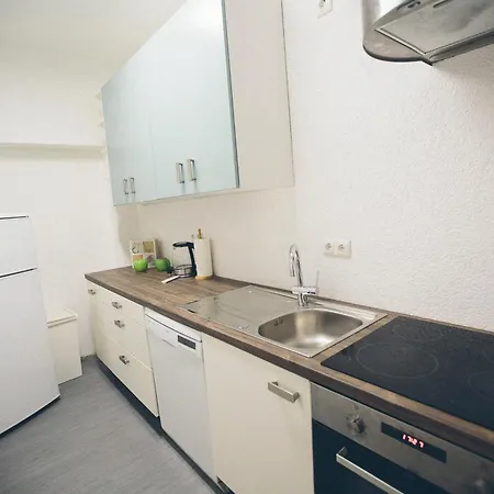 Grosse & Voll Ausgestattete Apartments, Studios, Doppelzimmer, Workspace, Parkplatz, Netflix, Prime & Schnelles Wifi In Ruhiger Lage Mit Garten * Rudolstadt
