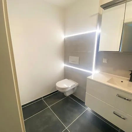 Daire Grosse & Voll Ausgestattete Apartments, Studios, Doppelzimmer, Workspace, Parkplatz, Netflix, Prime & Schnelles Wifi In Ruhiger Lage Mit Garten Rudolstadt