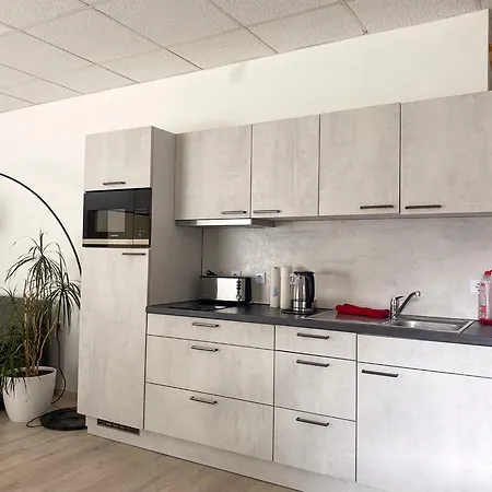Grosse & Voll Ausgestattete Apartments, Studios, Doppelzimmer, Workspace, Parkplatz, Netflix, Prime & Schnelles Wifi In Ruhiger Lage Mit Garten Daire Rudolstadt