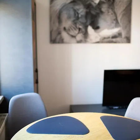 Daire Grosse & Voll Ausgestattete Apartments, Studios, Doppelzimmer, Workspace, Parkplatz, Netflix, Prime & Schnelles Wifi In Ruhiger Lage Mit Garten Rudolstadt