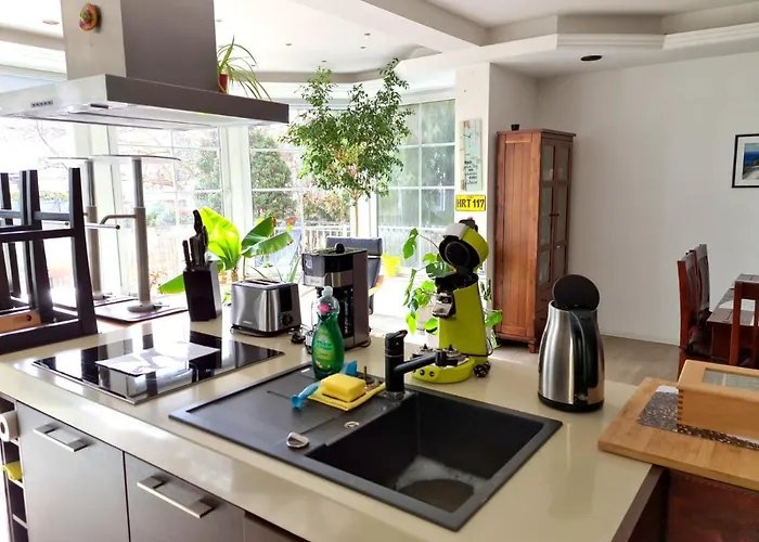 Grosse & Voll Ausgestattete Apartments, Studios, Doppelzimmer, Workspace, Parkplatz, Netflix, Prime & Schnelles Wifi In Ruhiger Lage Mit Garten Rudolstadt