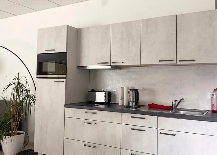 Grosse & Voll Ausgestattete Apartments, Studios, Doppelzimmer, Workspace, Parkplatz, Netflix, Prime & Schnelles Wifi In Ruhiger Lage Mit Garten Lejlighed Rudolstadt