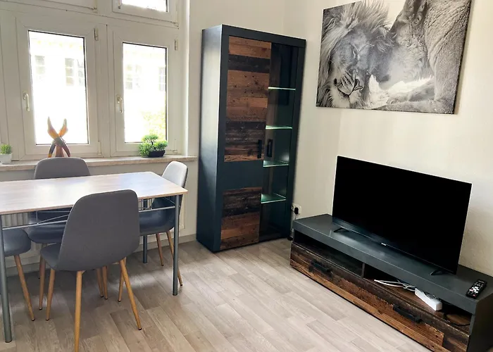 Grosse & Voll Ausgestattete Apartments, Studios, Doppelzimmer, Workspace, Parkplatz, Netflix, Prime & Schnelles Wifi In Ruhiger Lage Mit Garten Appartement Rudolstadt